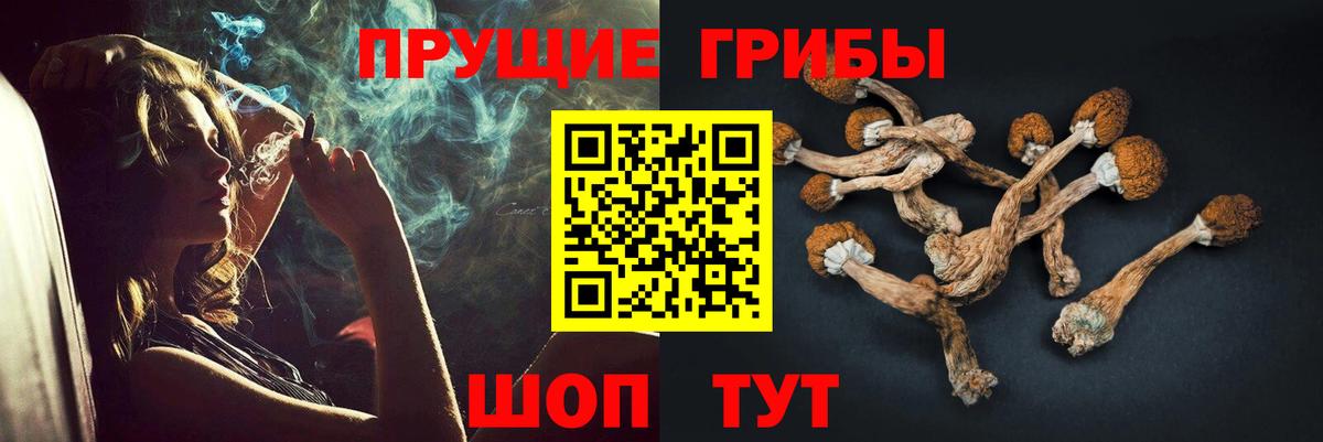 Галлюциногенные грибы мухоморы  Галлюциногенные грибы Psilocybe  магазин продажи наркотиков  Вход с VPN  Лесной 